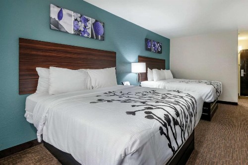 Jacksonville Plaza Hotel and Suites - image 14