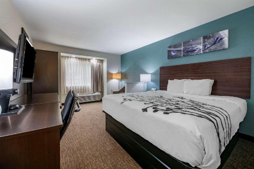 Jacksonville Plaza Hotel and Suites - image 17