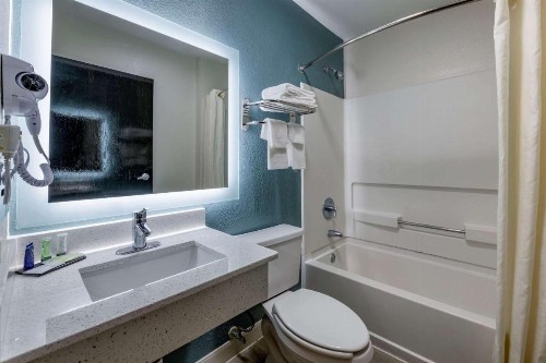 Jacksonville Plaza Hotel and Suites - image 30