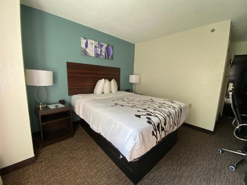 Jacksonville Plaza Hotel and Suites - image 33