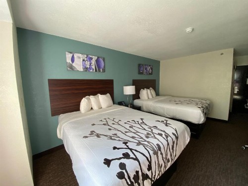 Jacksonville Plaza Hotel and Suites - image 40
