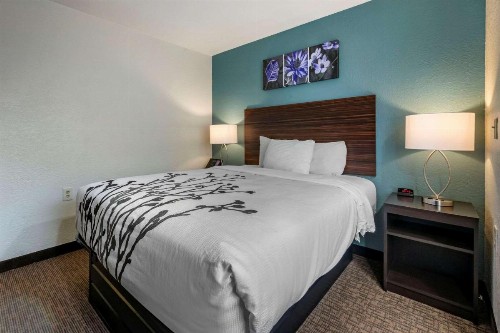 Jacksonville Plaza Hotel and Suites - image 41
