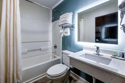 Jacksonville Plaza Hotel and Suites - image 42