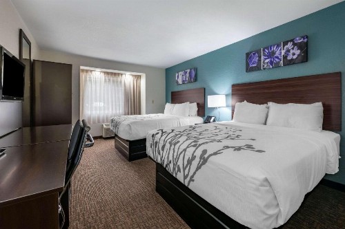 Jacksonville Plaza Hotel and Suites - image 9