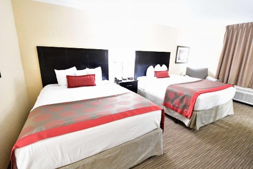 Ramada by Wyndham Jacksonville Hotel & Conference Center - image 16