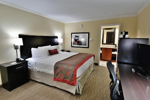 Ramada by Wyndham Jacksonville Hotel & Conference Center - image 49