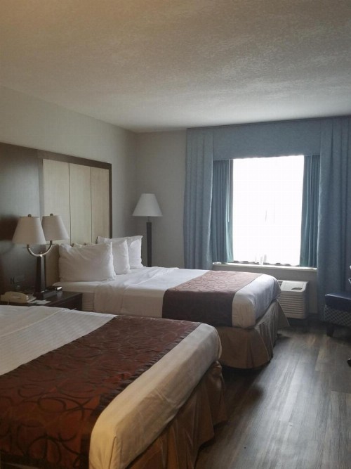 Wyndham Garden Hotel - Jacksonville - image 11