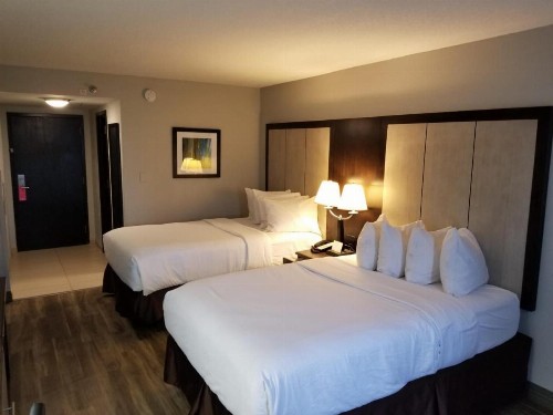 Wyndham Garden Hotel - Jacksonville - image 12