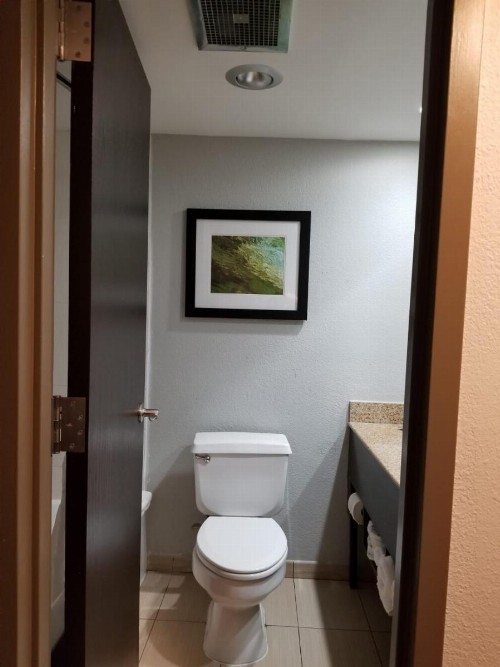 Wyndham Garden Hotel - Jacksonville - image 14