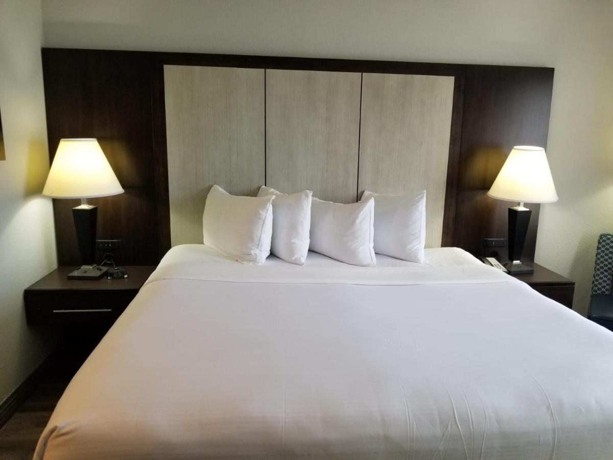 Wyndham Garden Hotel - Jacksonville - image 3