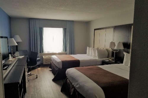 Wyndham Garden Hotel - Jacksonville - image 4