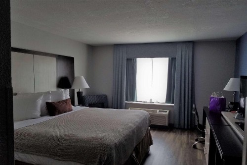 Wyndham Garden Hotel - Jacksonville - image 6