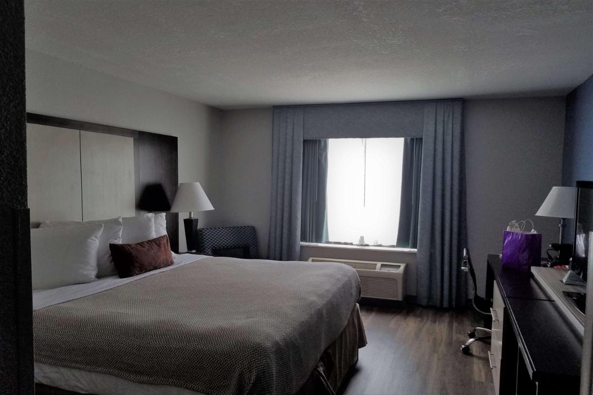 Wyndham Garden Hotel - Jacksonville - image 6