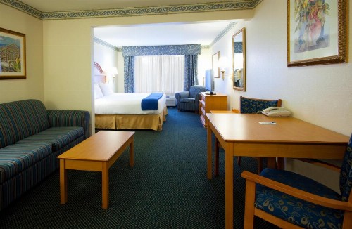 Holiday Inn Express Hotel & Suites Jacksonville-Blount Island - image 6