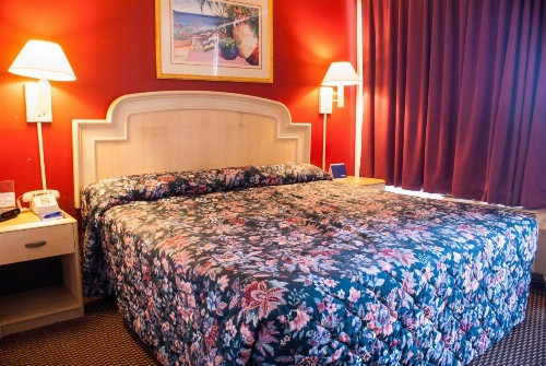 Scottish Inn Downtown Jacksonville - image 15