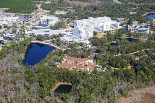 Courtyard by Marriott Jacksonville at the Mayo Clinic Campus/Beaches - image 3