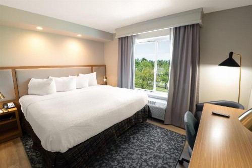 Fairfield Inn & Suites Jacksonville Butler Boulevard - image 7