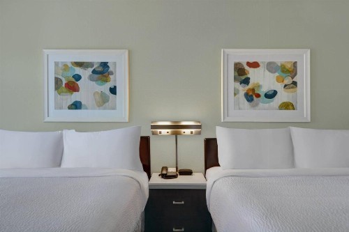 Springhill Suites Jacksonville - image 10