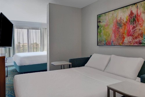 Springhill Suites Jacksonville - image 14