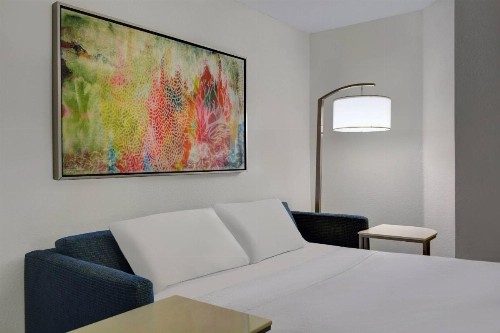 Springhill Suites Jacksonville - image 16