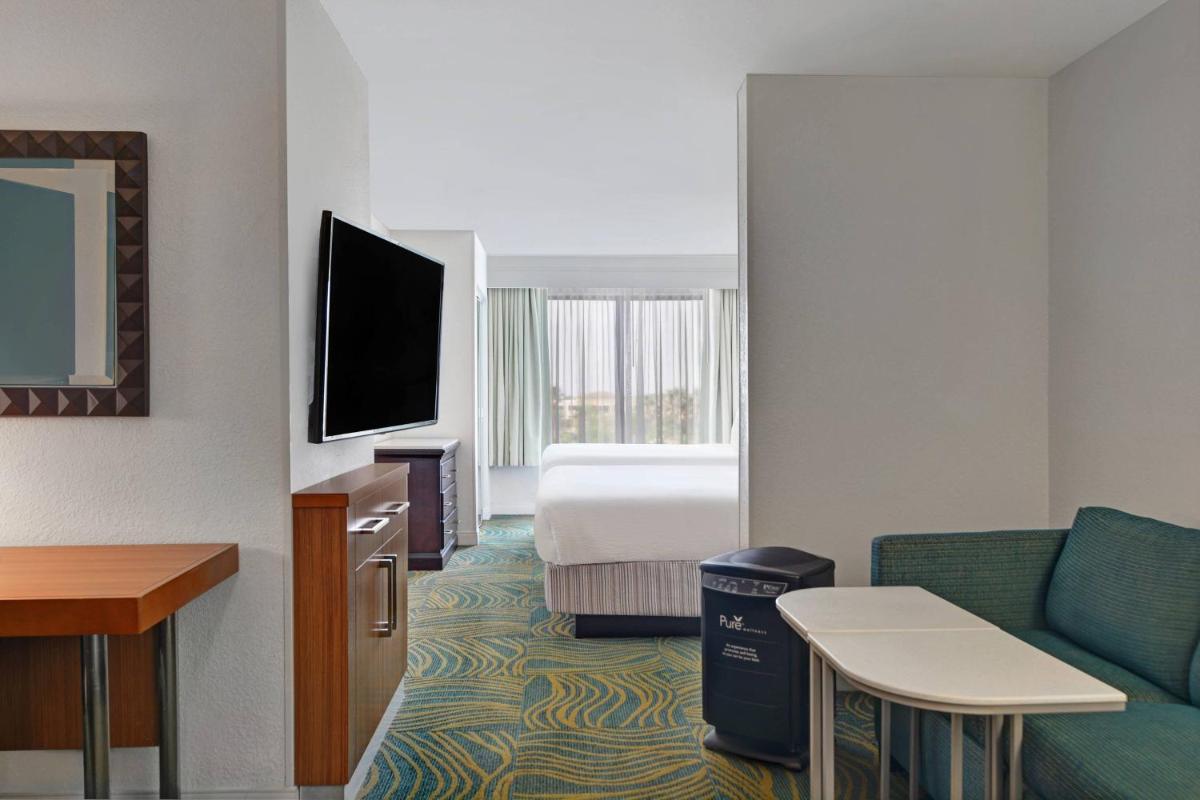 Springhill Suites Jacksonville - image 6