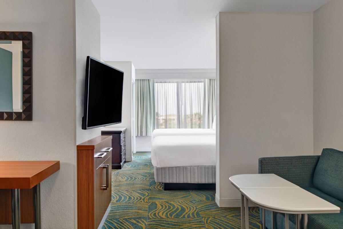 Springhill Suites Jacksonville - image 7