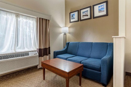 Comfort Suites Airport - image 14