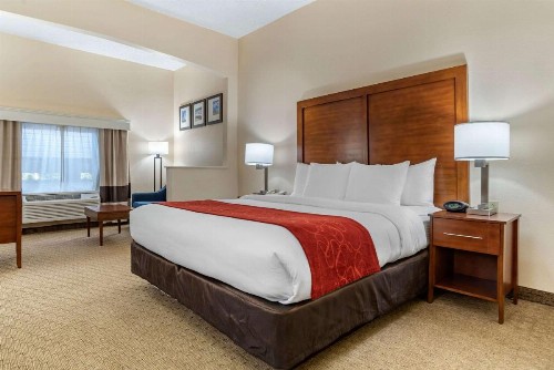 Comfort Suites Airport - image 15