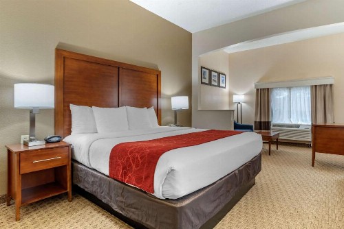 Comfort Suites Airport - image 18