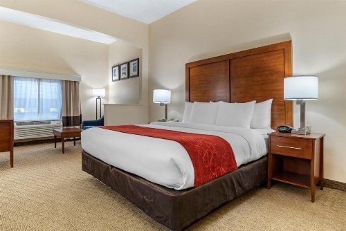 Comfort Suites Airport - image 2