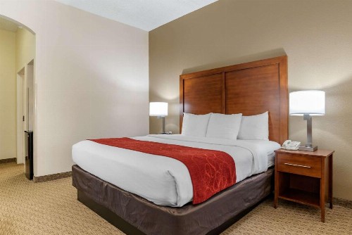 Comfort Suites Airport - image 21