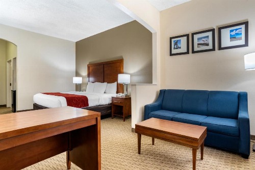 Comfort Suites Airport - image 23