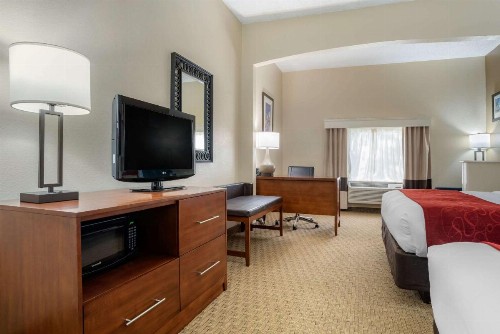 Comfort Suites Airport - image 24
