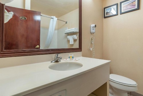 Comfort Suites Airport - image 28