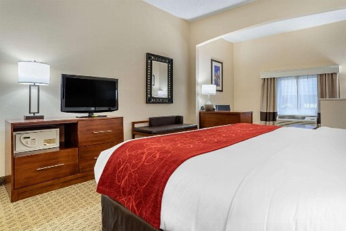 Comfort Suites Airport - image 4