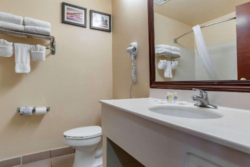 Comfort Suites Airport - image 5