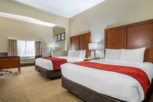 Comfort Suites Airport - image 7