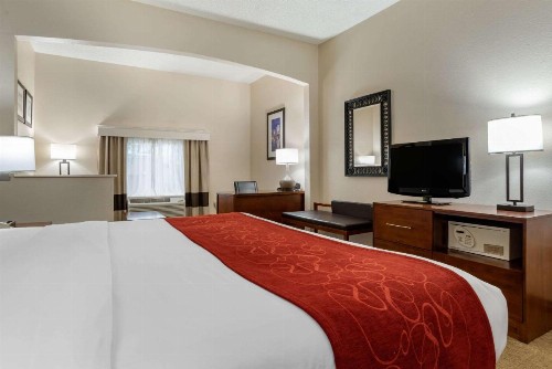 Comfort Suites Airport - image 8