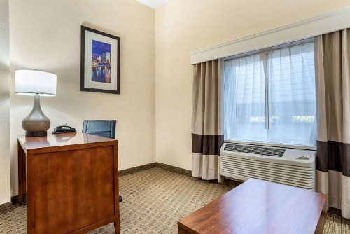 Comfort Suites Airport - image 9