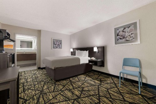 Quality Inn Orange Park Jacksonville - image 7