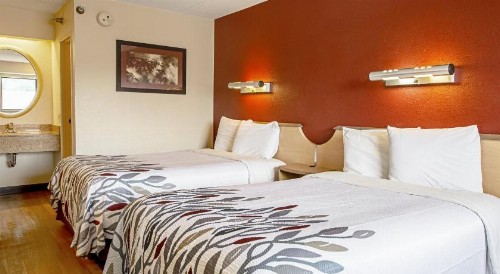 Red Roof Inn Jacksonville - Orange Park - image 38