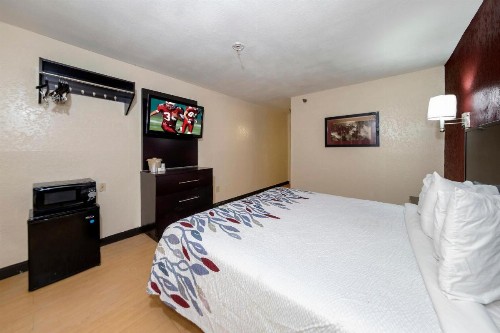 Red Roof Inn Jacksonville - Cruise Port - image 20