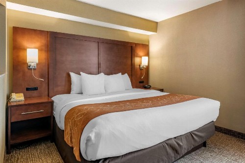 Comfort Suites Baymeadows Near Butler Blvd - image 10