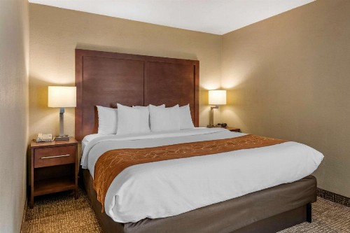 Comfort Suites Baymeadows Near Butler Blvd - image 14
