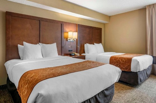 Comfort Suites Baymeadows Near Butler Blvd - image 21