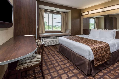 Microtel Inn & Suites by Wyndham Jacksonville Airport - image 11
