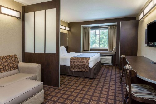 Microtel Inn & Suites by Wyndham Jacksonville Airport - image 3