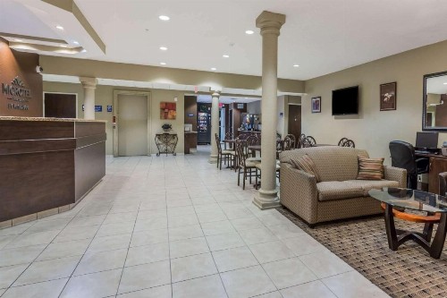 Microtel Inn & Suites by Wyndham Jacksonville Airport - image 5