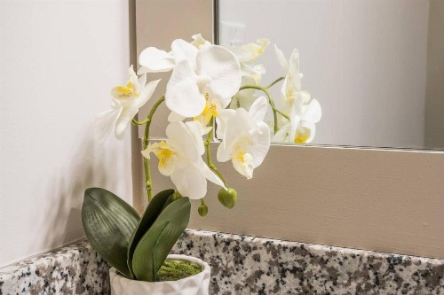 Frontdesk SoBA Apts Southbank Downtown Jacksonville - image 7