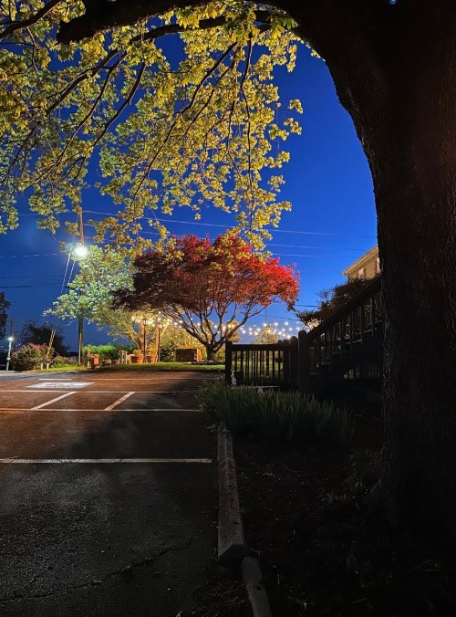 Woodbridge Inn - image 6
